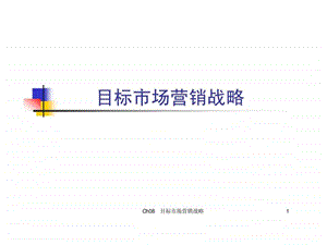 目标市场营销战略.ppt