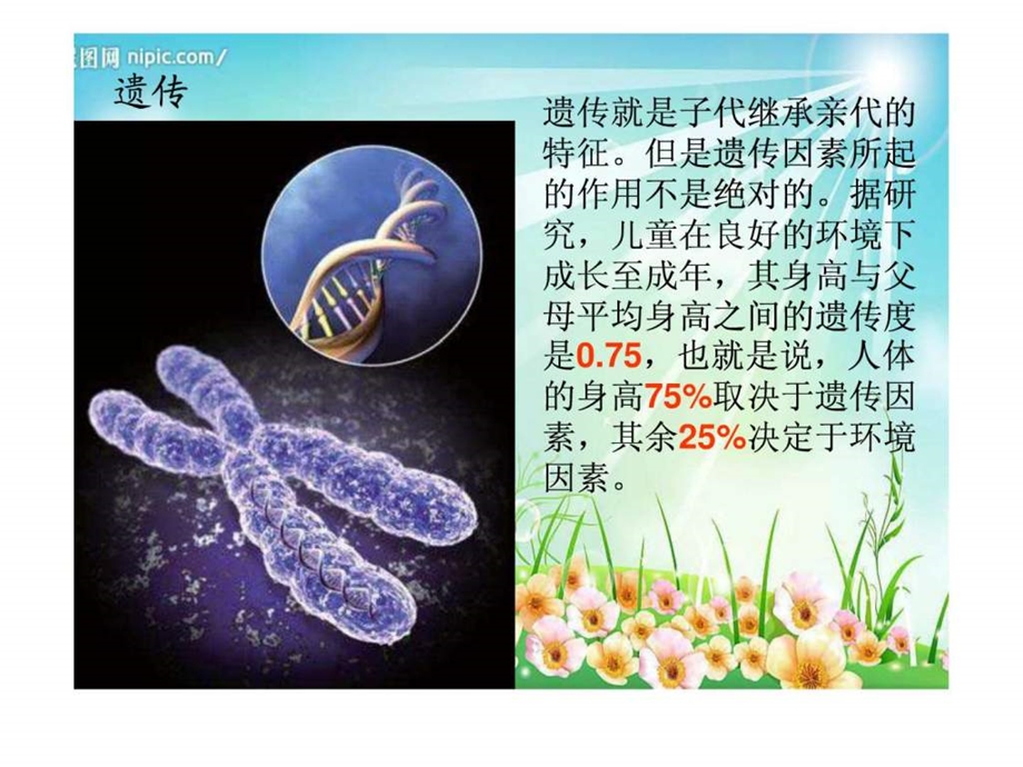 踏上健康之路1626622188.ppt_第2页