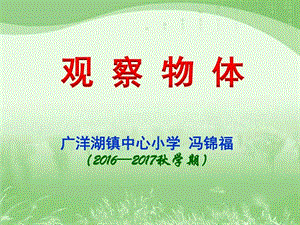 观察物体例12图文.ppt.ppt