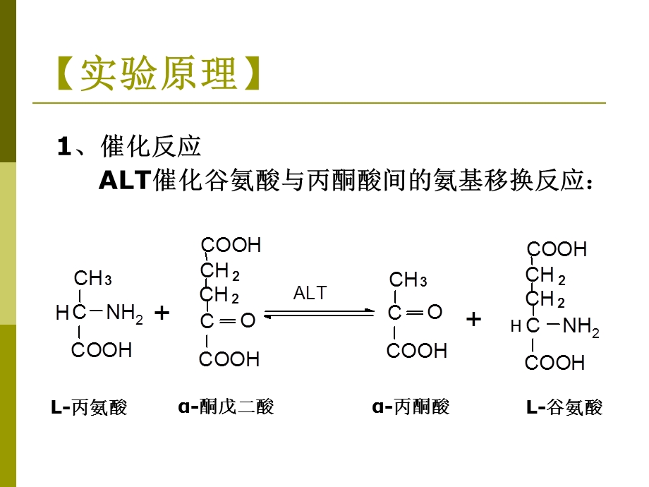 活性测定444.ppt_第3页