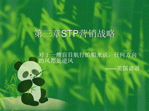 STP营销战略分析.ppt.ppt