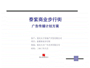 泰紫商业步行街广告传播计划方案.ppt