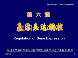 第6章基因表达调控.ppt