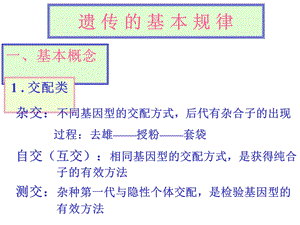 9遗传的基本规律.ppt