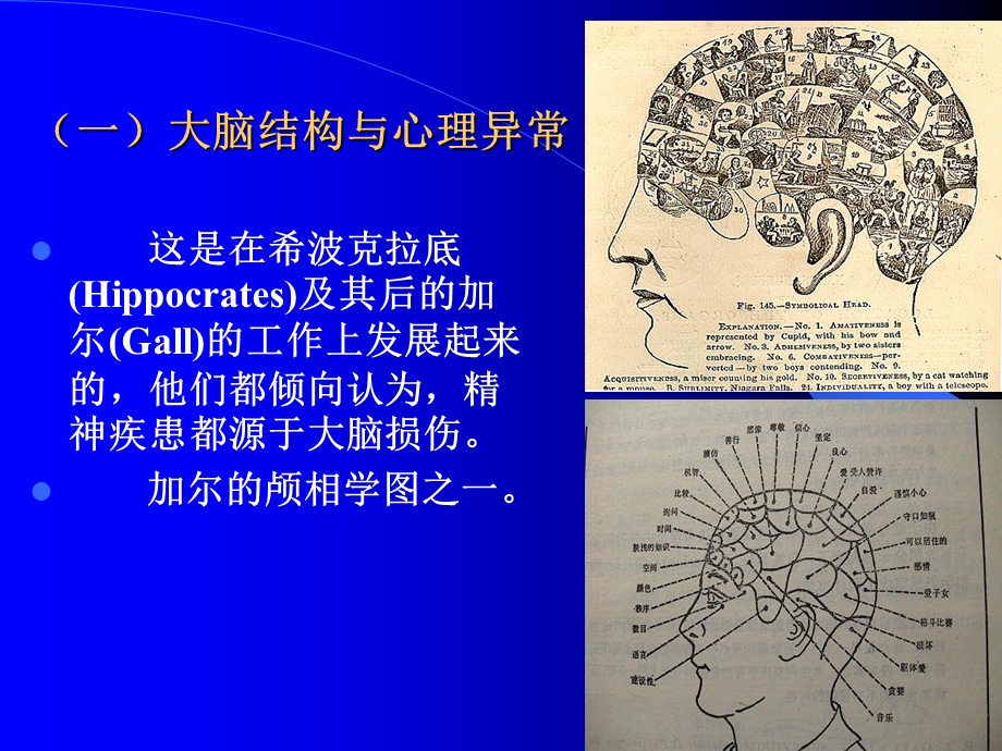 变态心理学2病因.ppt_第3页