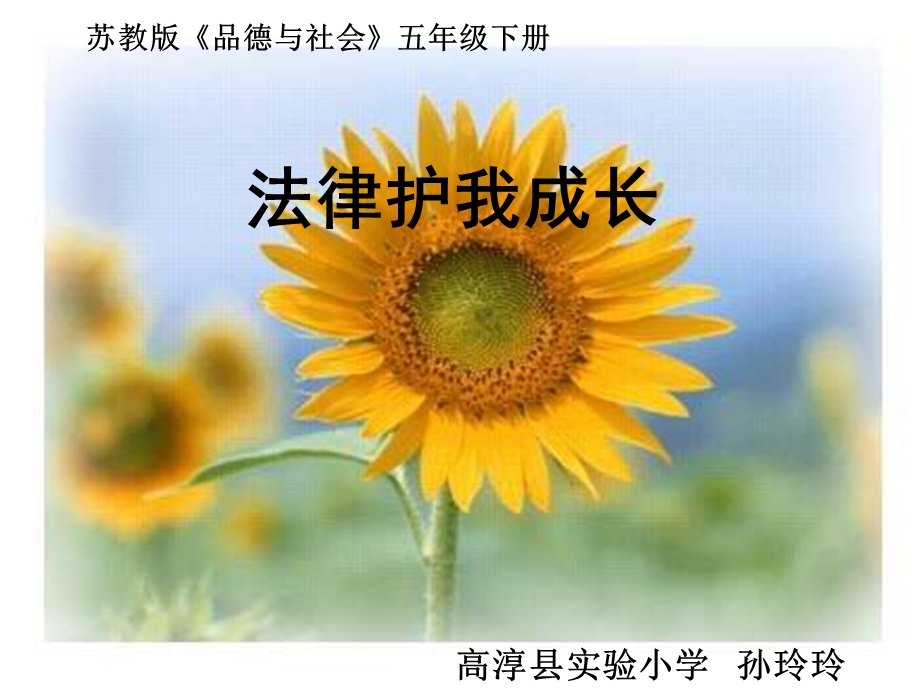 法律护我成长.ppt_第1页