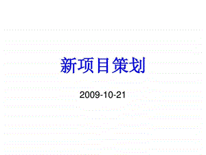 新项目执行.ppt