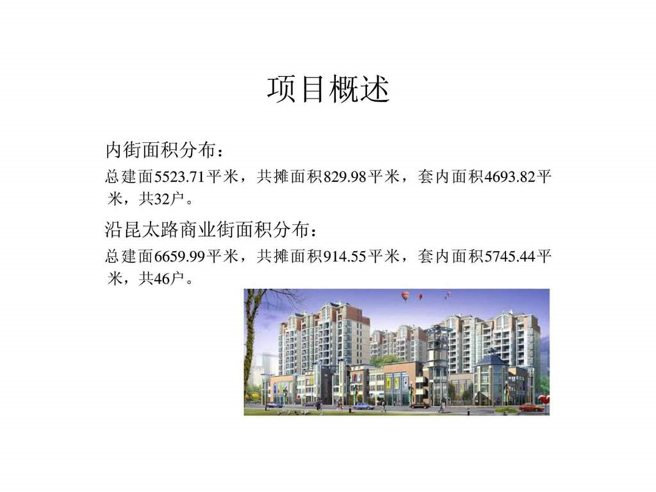 苏州美欣商业街项目操作思路提案报告.ppt_第3页