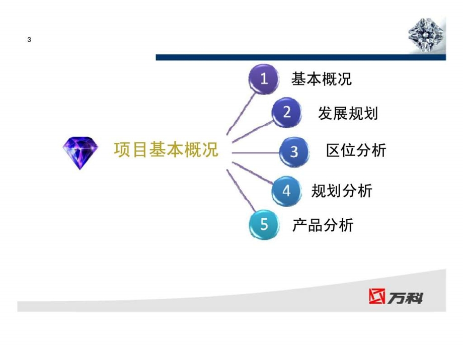 青岛万达39克拉项目分析.ppt_第3页