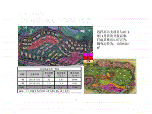 重庆万科天琴湾项目营销策划2.ppt