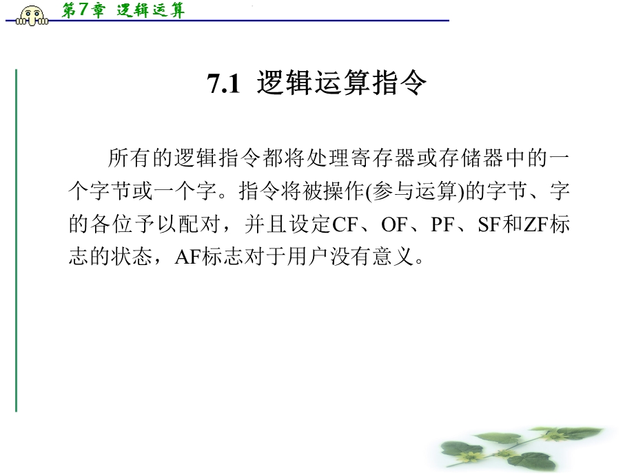 第7章逻辑运算.ppt_第2页