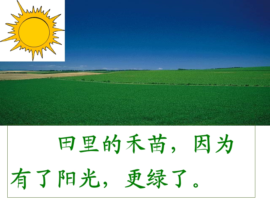 棉鞋里的阳光(家嫦）.ppt_第3页