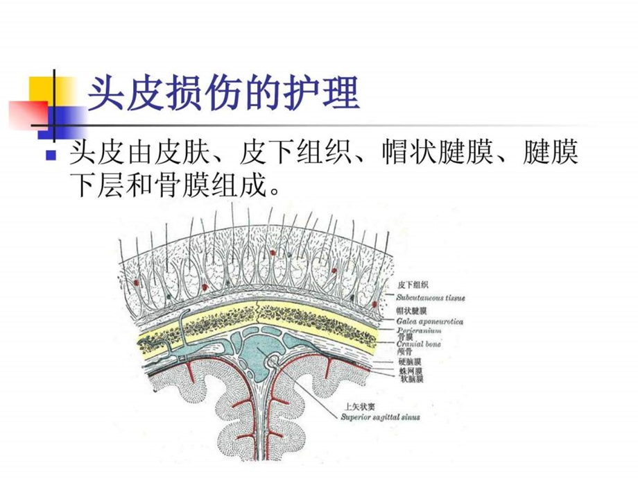 颅脑损伤的护理1587033980.ppt_第2页