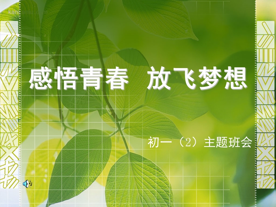 感悟青春放飞梦想.ppt_第1页