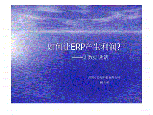 让ERP产生利润.ppt