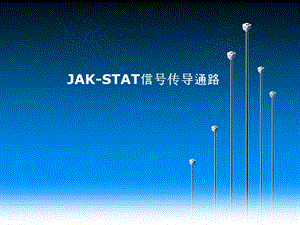 JAKSTAT信号传导通路.ppt