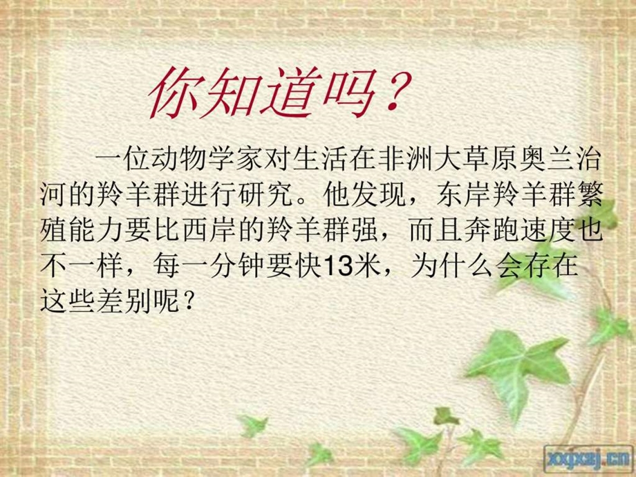 孟子两章生于忧患死于安乐图文.ppt.ppt_第1页