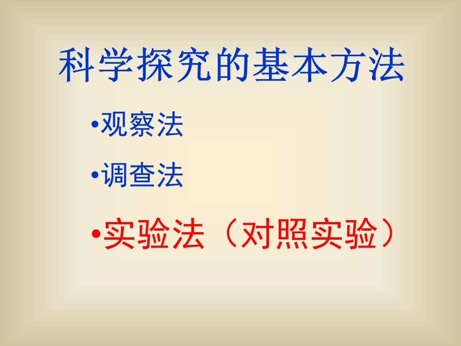 光会影响鼠妇的生活.ppt_第3页