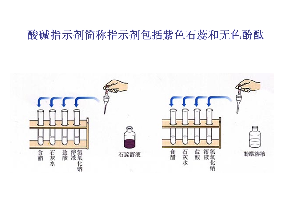 常见的酸和碱.ppt_第3页