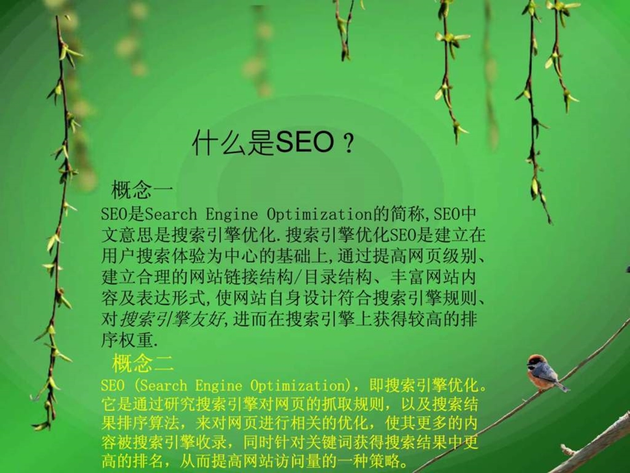 网站优化1580169541.ppt_第3页