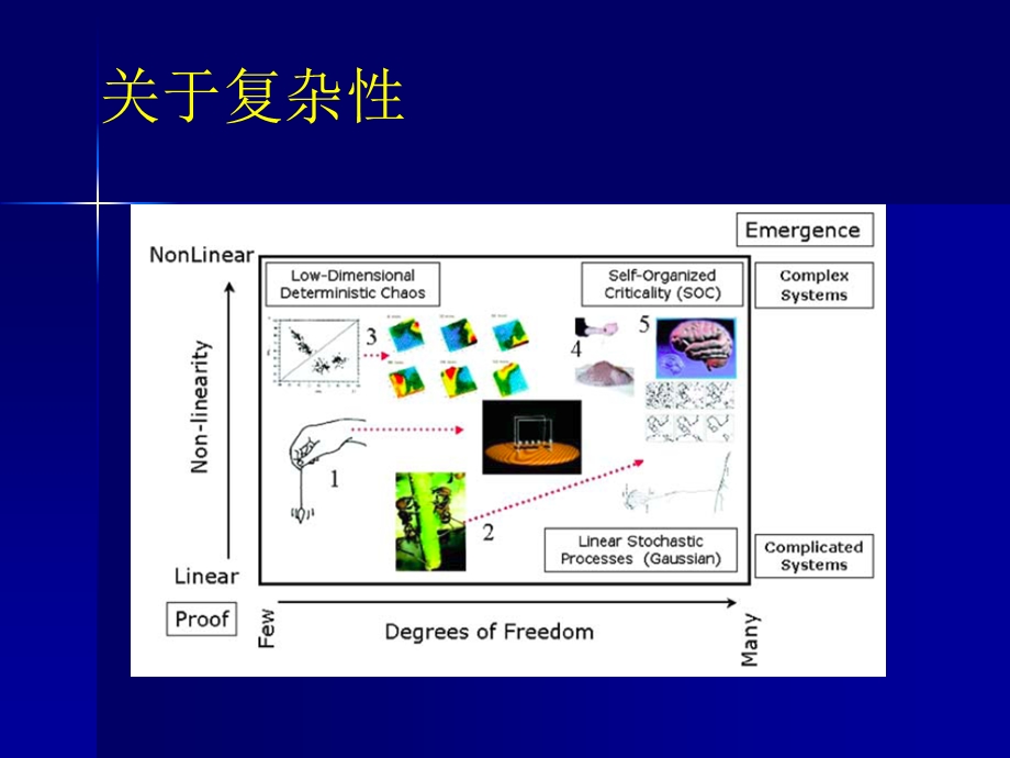 复杂网络研究现状狄增如.ppt_第2页