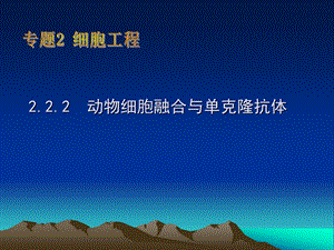 动物细胞工程.ppt