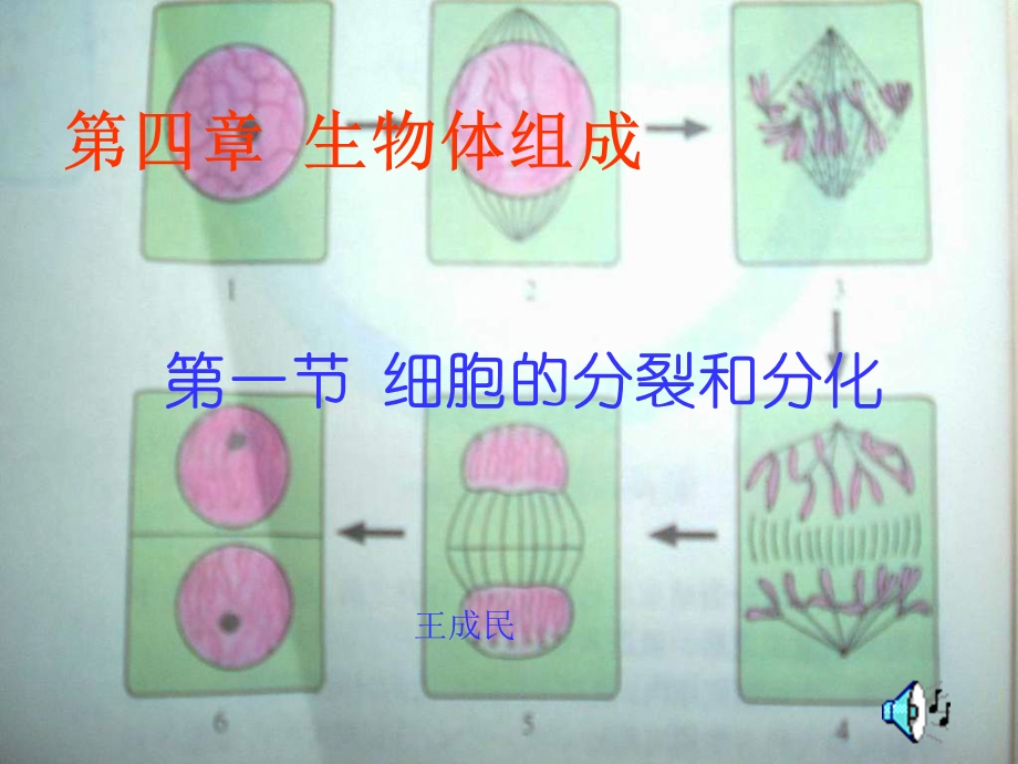 生物优质课课件-细胞的分裂和分化.ppt_第1页