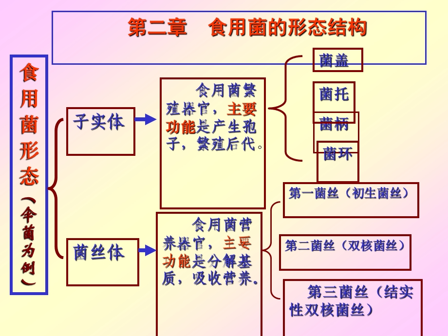 02食用菌的形态结构.ppt_第3页