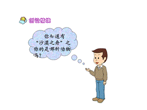 我应该感到自豪才对PPT.ppt