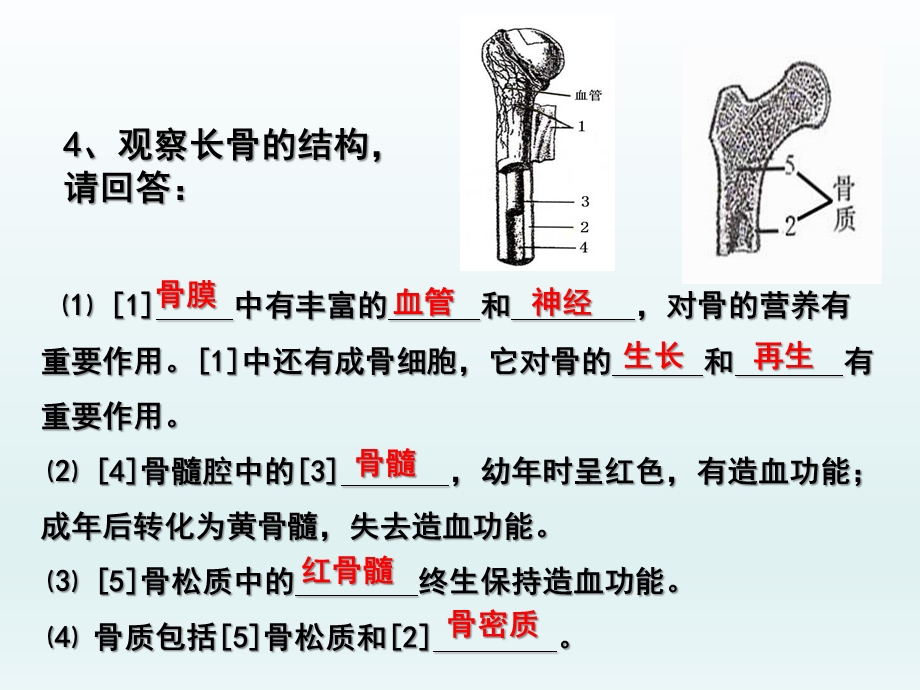 第一节动物的运动第三课时9月14日精品教育.ppt_第3页