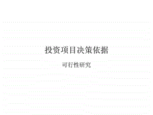 投资项目决策依据.ppt