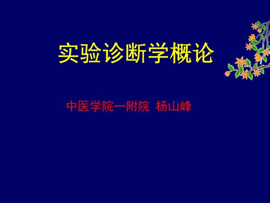 1.实验诊断概述.ppt.ppt_第1页