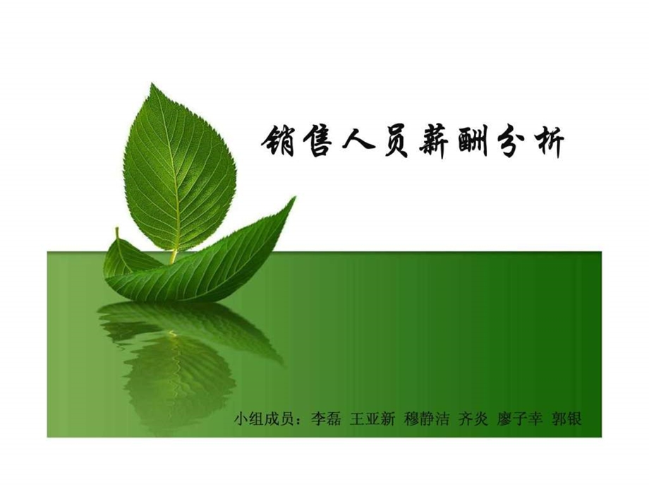 销售人员薪酬.ppt_第1页