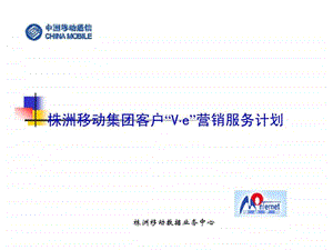 株洲移动集团客户ve营销服务计划.ppt