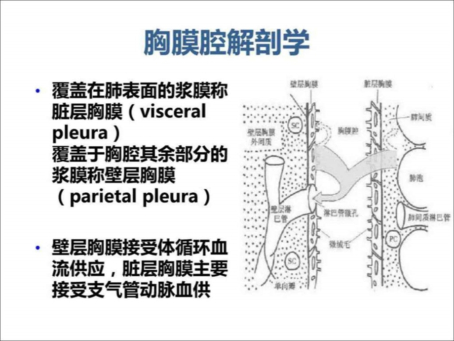 胸腔积液第八版.ppt.ppt_第3页