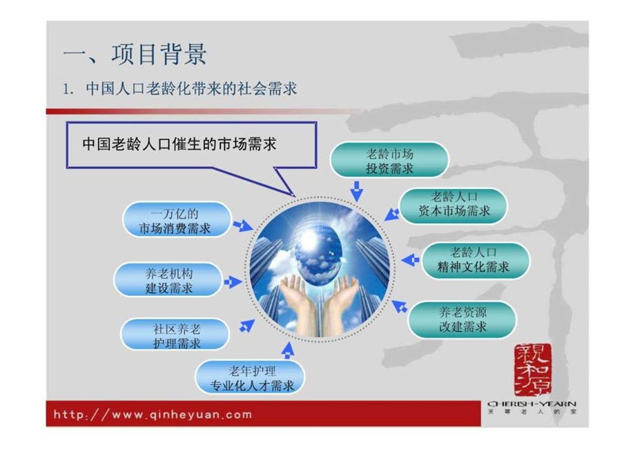 亲和源项目ppt.ppt_第3页