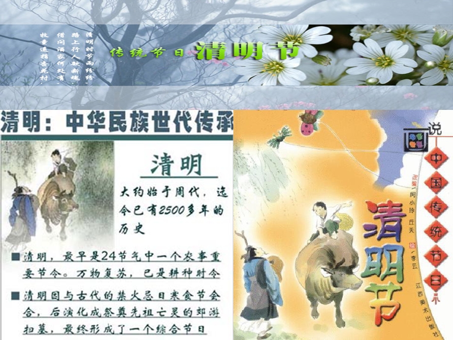 又是一年清明节.ppt_第3页