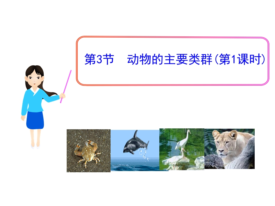 水土一中+余绍先动物的主要类群.ppt_第1页