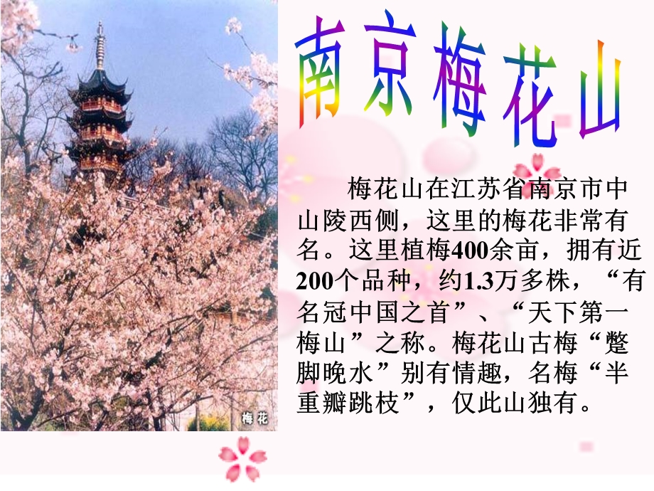 春到梅花山__课件.ppt_第2页