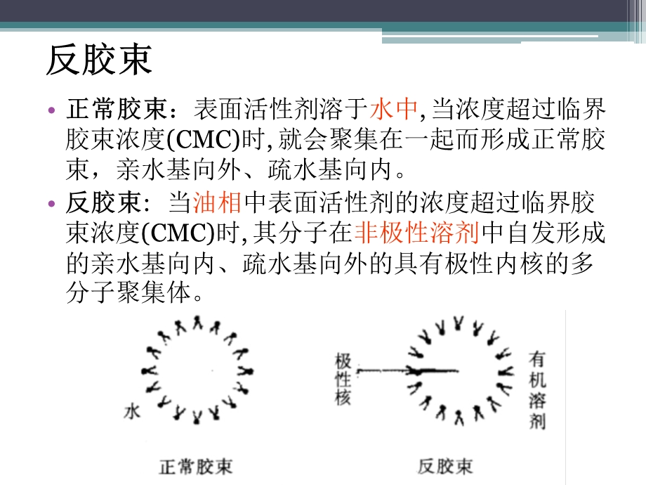 反胶束萃取及其应用.ppt_第3页