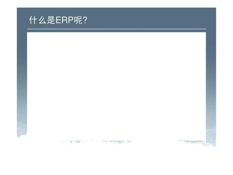 ERP企业案例分析.ppt_第2页