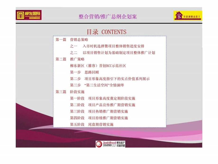 柳州柳东国际整合营销推广总纲企划案.ppt_第2页