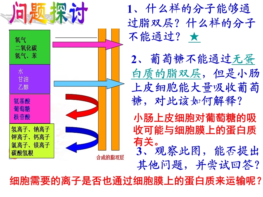 物质跨膜运输方式（讲课用）.ppt_第2页