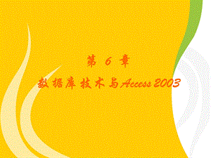 第6章数据库技术与Access2003.ppt