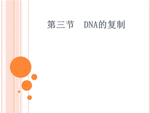 第三节DNA的复制精品教育.ppt