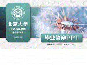 框架完整的答辩模板精华.ppt.ppt