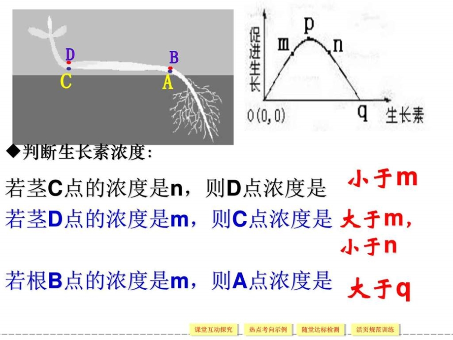 yqf33其他植物激素图文.ppt.ppt_第3页