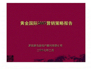 黄金国际营销策略报告.ppt