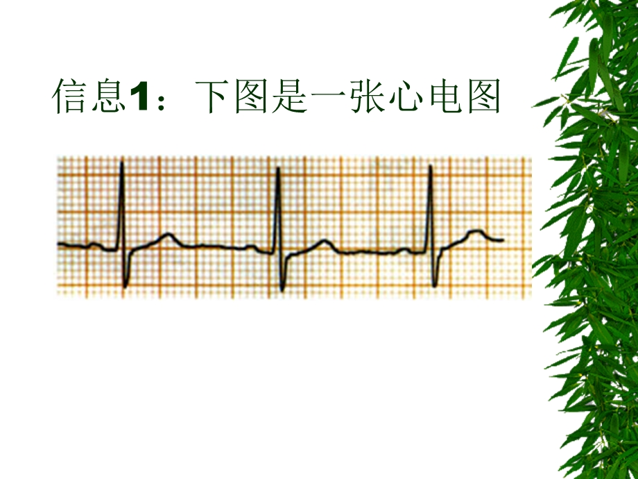 数学：141《变量与函数3》课件（人教新课标八年级上）.ppt_第2页