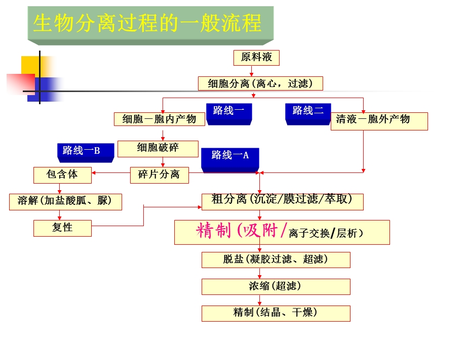 吸附法上课21.ppt_第2页